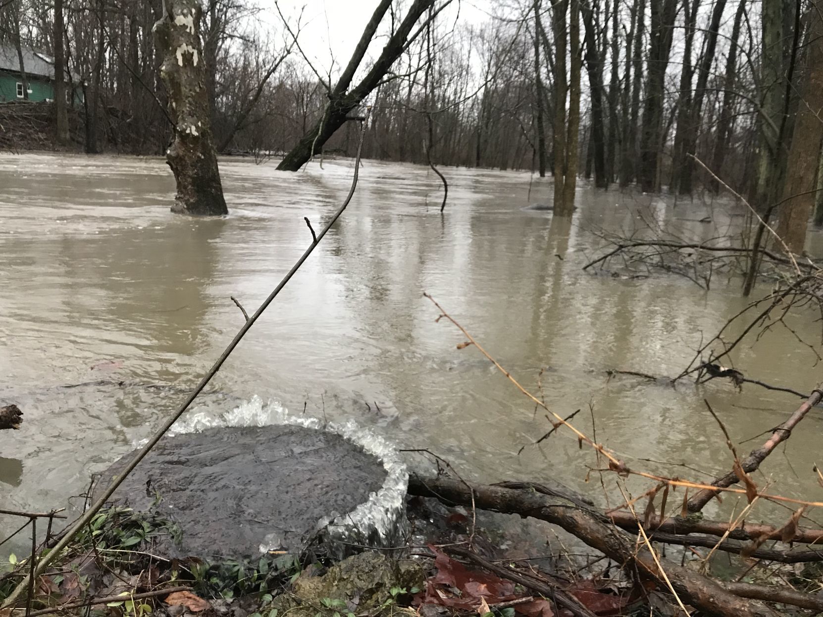 Flood